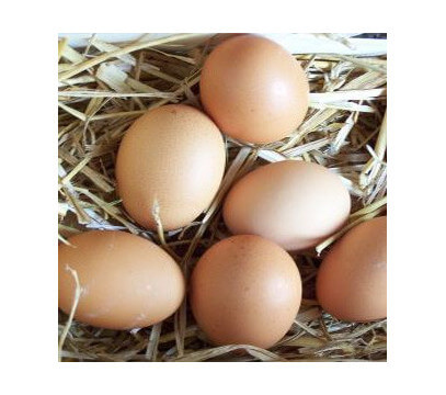 Oeufs Bio