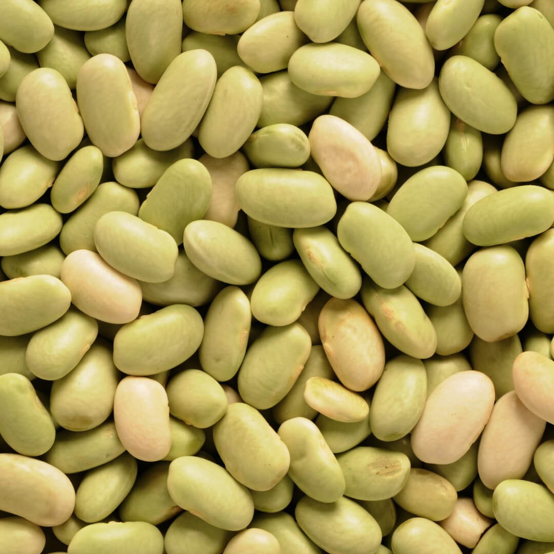 Flageolets Verts