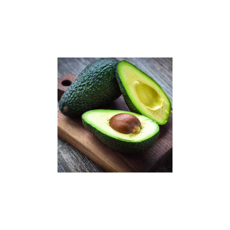 Avocat Hass