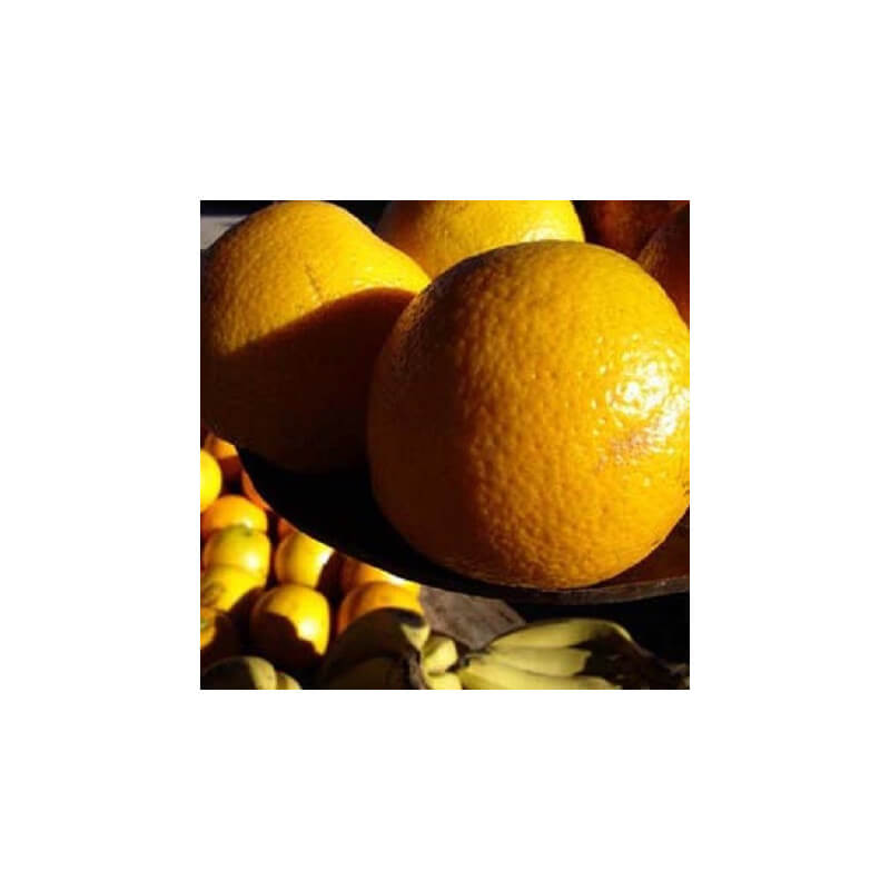 Orange Navel Feuilles