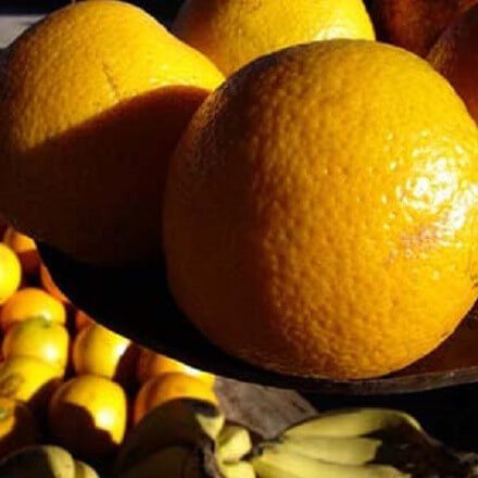 Orange Navel Feuilles