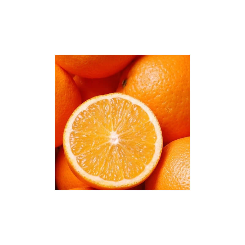 Orange à Jus non Traitée