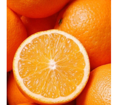 Orange à Jus non Traitée