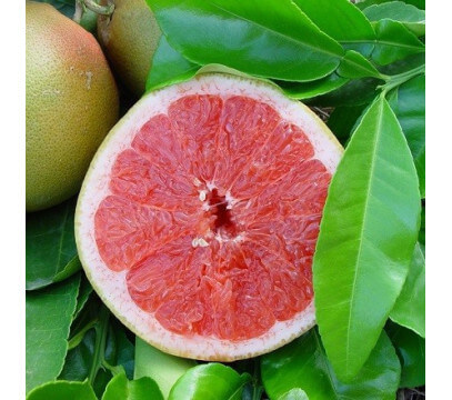 Pomelo Star Ruby