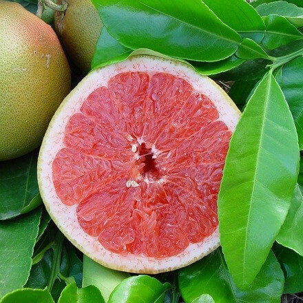 Pomelo Star Ruby