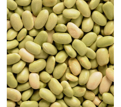 Flageolets Verts