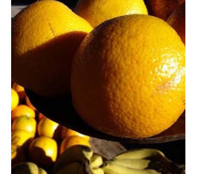 Orange Navel Feuilles