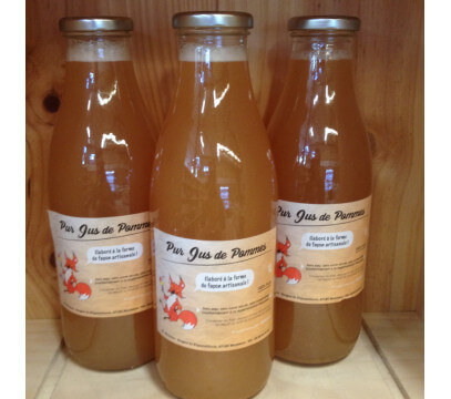 Pomme Pur Jus - 100% fruits