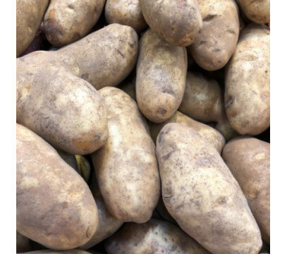 Pommes de terre Binje