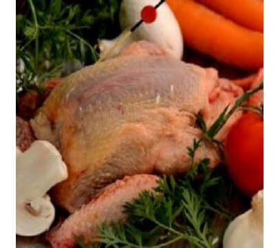 Pigeon  (Sauf le Mardi !)