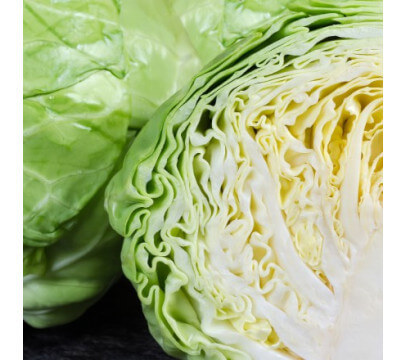 1/2 Chou blanc