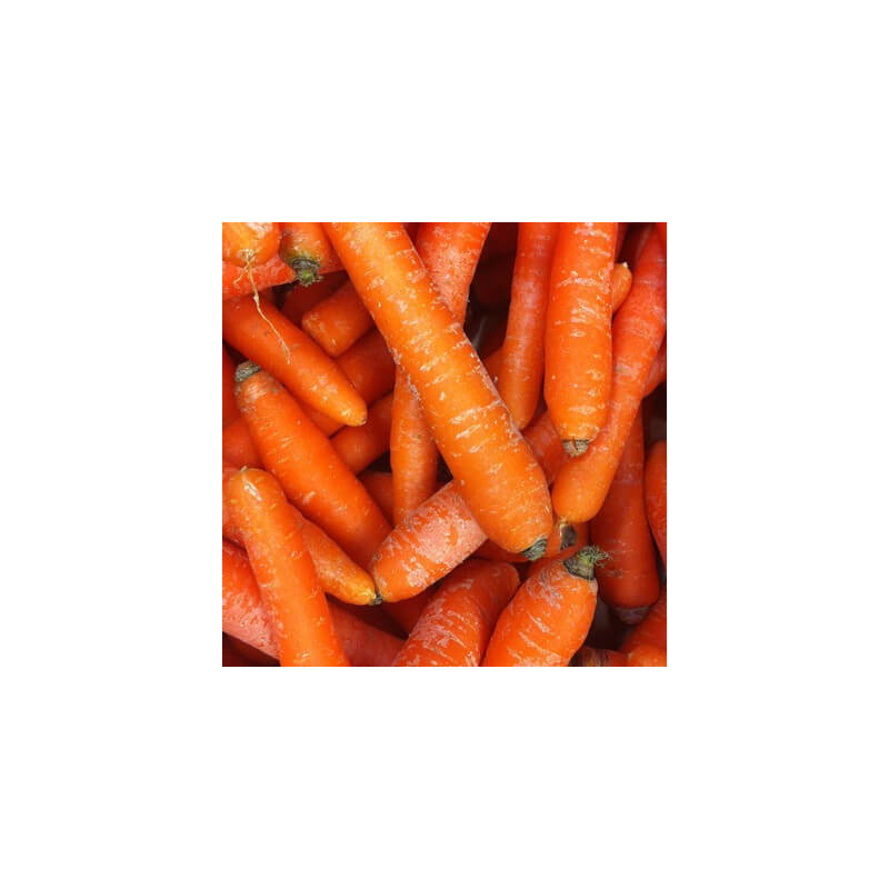 Carottes Maraîchères