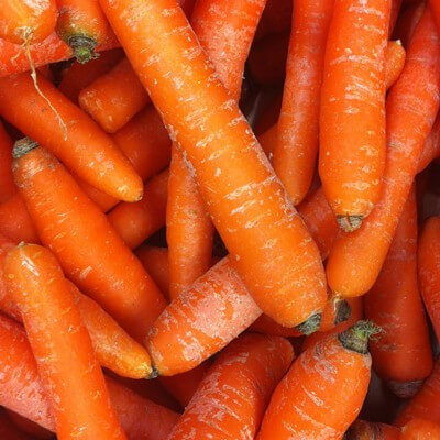 Carottes Maraîchères