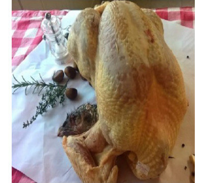 Dinde  3,9 kg - Précommande