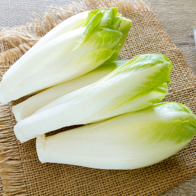 Endives extra
