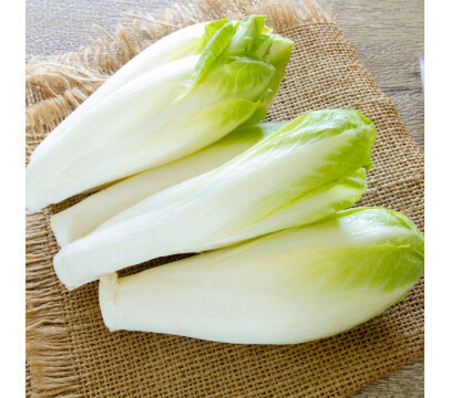 Endives extra
