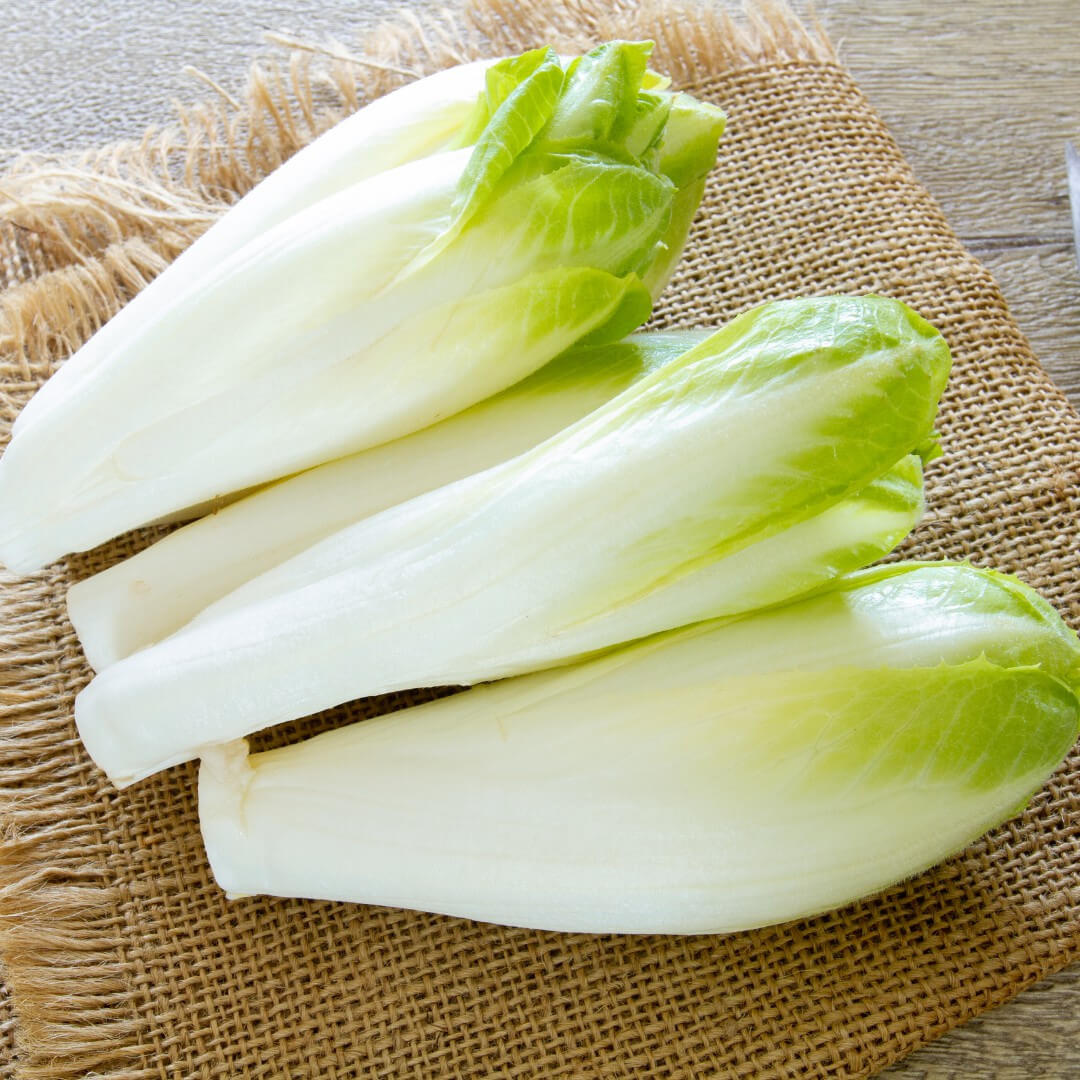 Endives extra