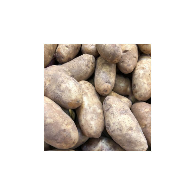 Pommes de terre Binje