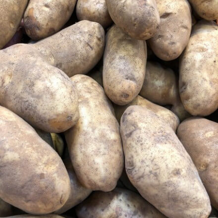 Pommes de terre Binje