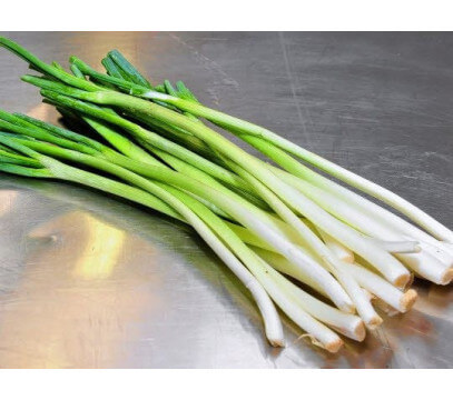 Oignons Blancs Frais Cébette - La botte.