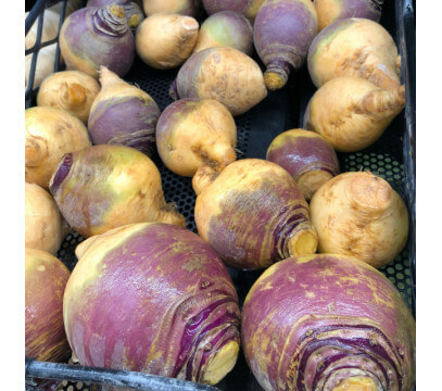 Rutabaga