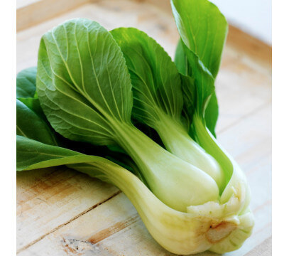 Chou Pak Choï BIO