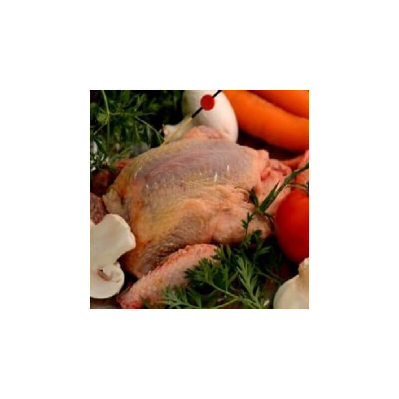 Pigeon  (Sauf le Mardi !)