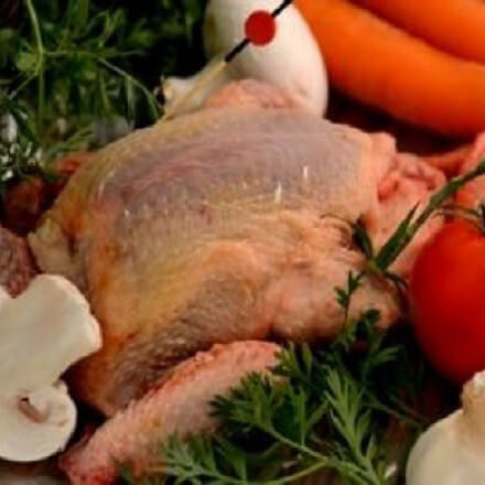 Pigeon  (Sauf le Mardi !)