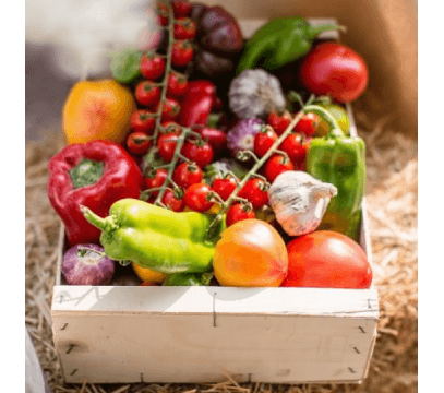 Le Jardinier de saison