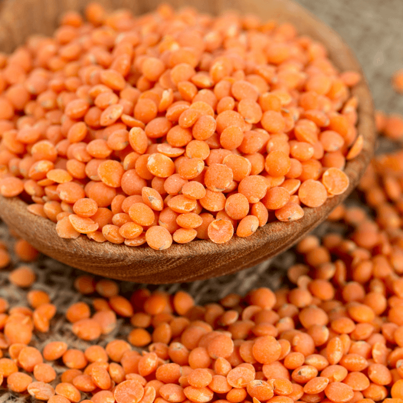 Lentilles Corail Demies