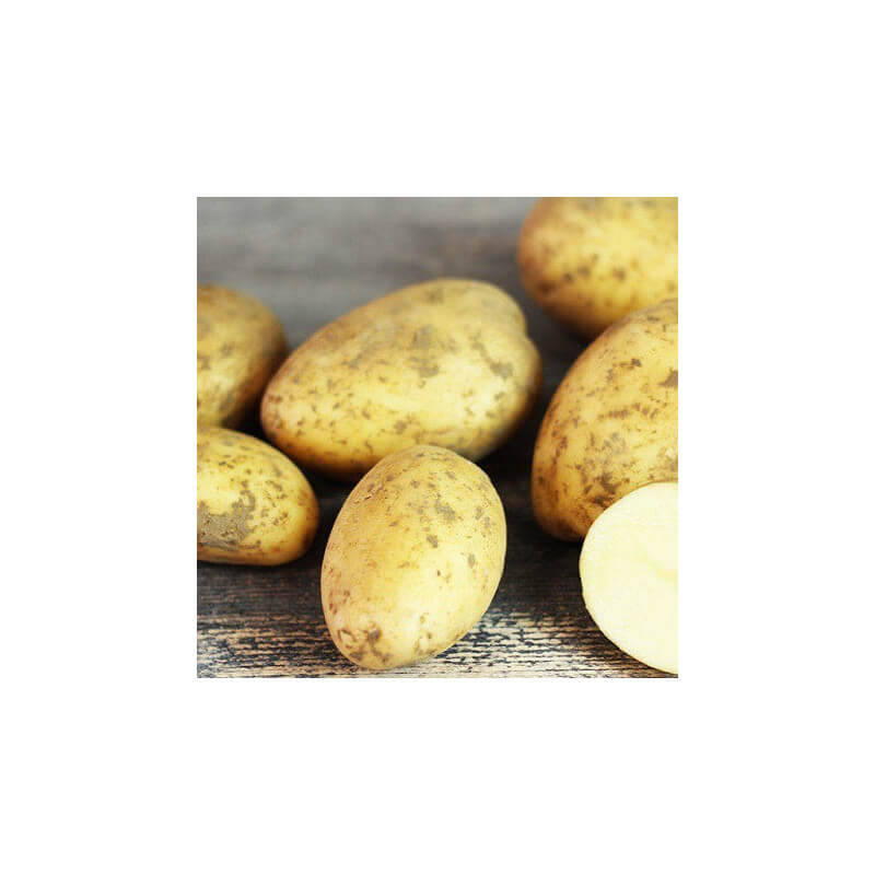 Pommes de Terre Vapeur
