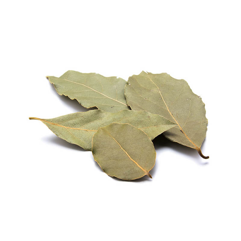 Laurier Feuille