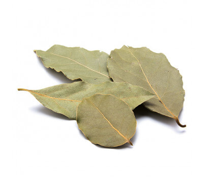 Laurier Feuille