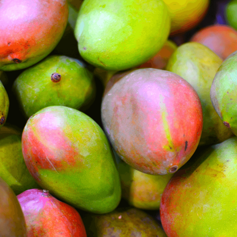 Mangue Kent (Avion)