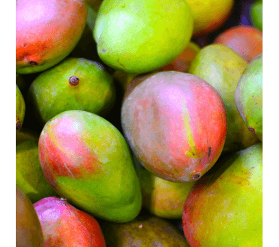 Mangue Kent (Avion)