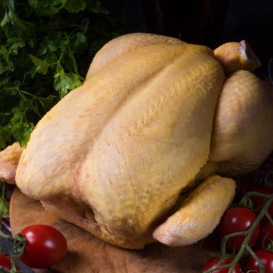 Chapon 3,7 kg - Précommande